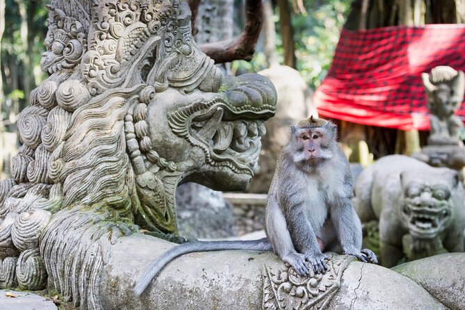 1-Day Ubud Tours All-Inclusive - Ulu Petanu Waterfall: the day’s natural change of pace