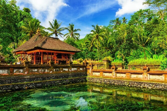 1-Day Ubud Tours All-Inclusive - What the guides add to the day