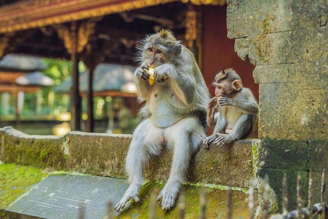 1-Day Ubud Tours All-Inclusive - Timing, pickup, and practical planning