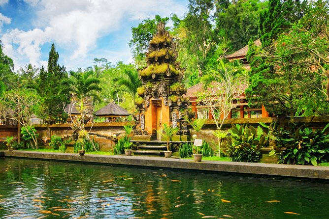 1-Day Ubud Tours All-Inclusive - Tegalalang Rice Terrace: Bali’s famous stepped fields