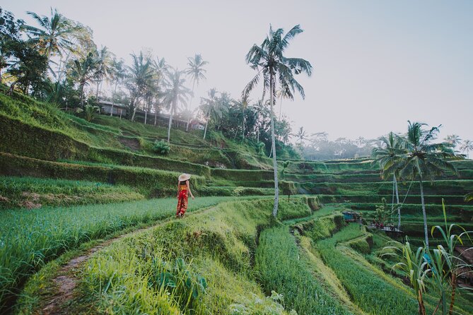 3 Days for the best of Ubud Private Tour - Day three is for mud, engines, and the Ayung River