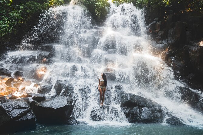 3 Days for the best of Ubud Private Tour - Day two brings waterfalls and a traditional village