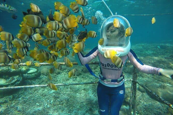 30 Minutes Ocean Walking in Nusa Dua, Bali - Key points to know before you book