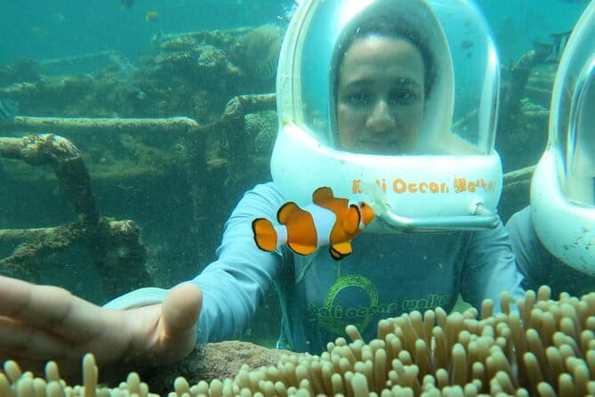 30 Minutes Ocean Walking in Nusa Dua, Bali - What happens during the 30-minute session