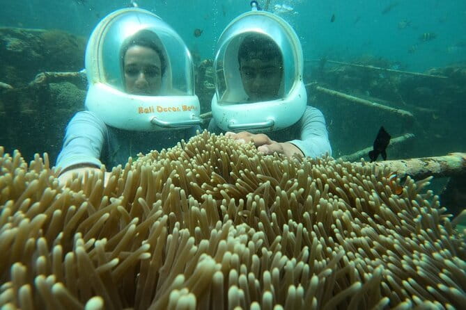 30 Minutes Ocean Walking in Nusa Dua, Bali - Fish, coral, and the limits of the view