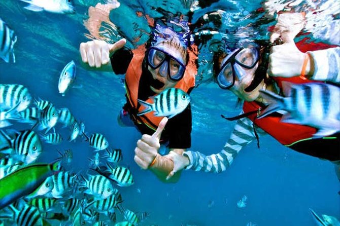 (ALL- IN) Bali Snorkeling Blue Lagoon And Tanjung Jepun - Key points to know before booking