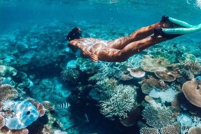 All Inclusive : Bali Blue Lagoon Snorkeling, Lunch, and Transport - From Ubud to Padangbai, a full morning on the road