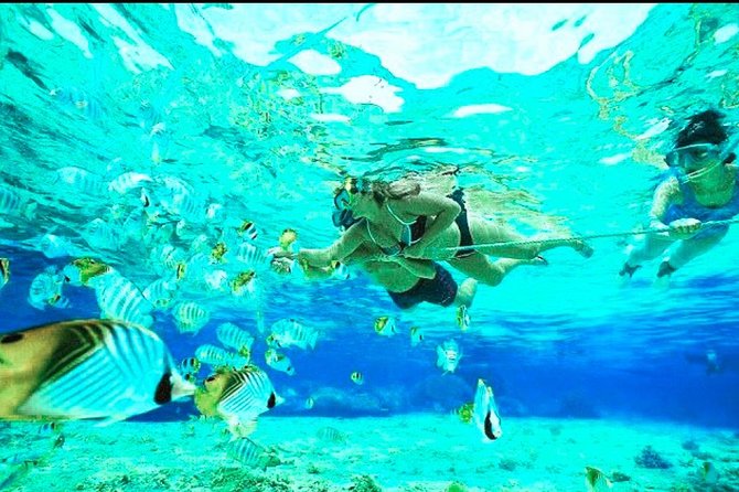 All Inclusive : Bali Blue Lagoon Snorkeling, Lunch, and Transport - The private driver can shape the whole day