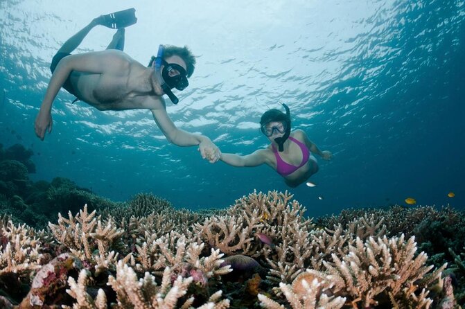 All Inclusive Bali Scuba Diving at Tulamben with Lunch -Transport - Why This Bali Scuba Trip Is Worth Considering