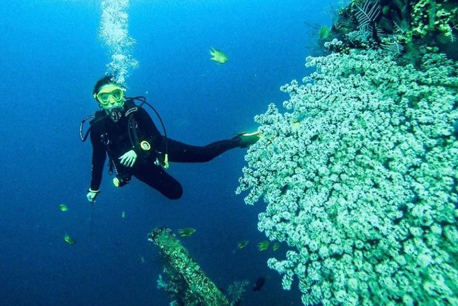 All Inclusive Bali Scuba Diving at Tulamben with Lunch -Transport - Lunch Between the Water Activities