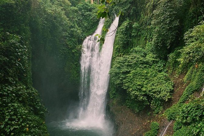 All Inclusive : Jumping Sliding at Aling- Aling Waterfall - Handara Gate - Lunch - The $64 price and what it covers