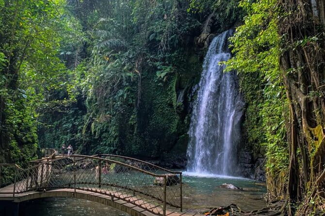 All Inclusive of Ubud Top Attraction - Why this Ubud day works