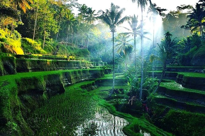 [All Inclusive] The Soul of Bali: Temples, Art & Traditions Tour - Suwat Waterfall: the quietest stop of the day