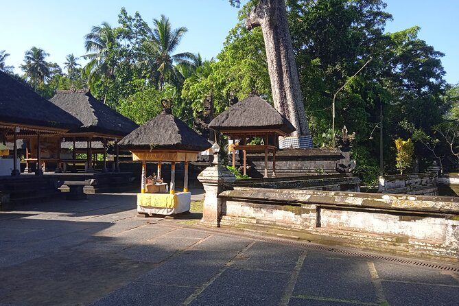[All Inclusive] The Soul of Bali: Temples, Art & Traditions Tour - Who should book this Ubud tour?