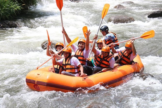 All Inclusive - Toekad Ubud Ayung River Rafting - Two hours through the Ayung River valley