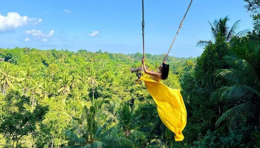 All Inclusive Ubud Private Day Tour - Tegalalang Rice Terrace and the Bali Swing