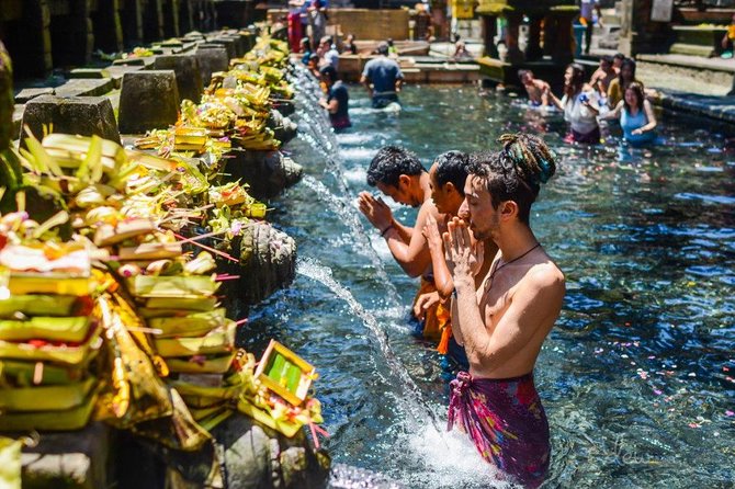 All-Inclusive Ubud Private Tour - D Alas Warung: lunch, jungle views, and the swing