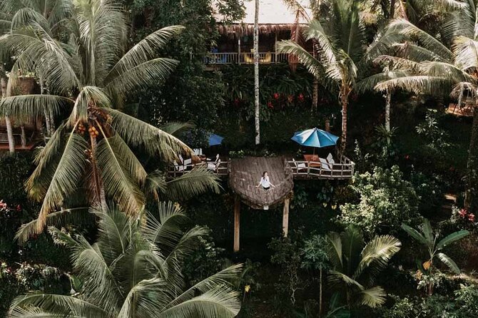 All-Inclusive Ubud Private Tour - What the $100 price really covers