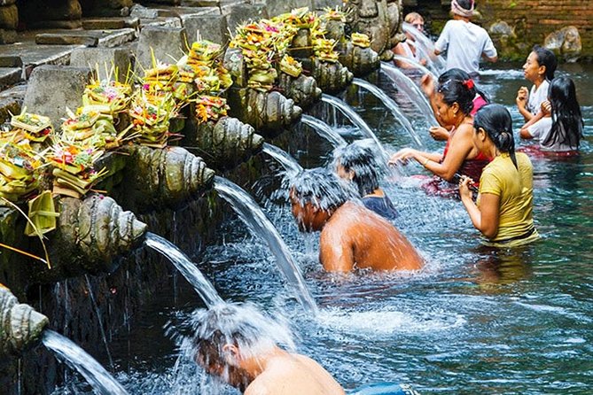 All Inclusive Ubud Tour with 15 Sitter Van - Ending at Tegenungan Waterfall