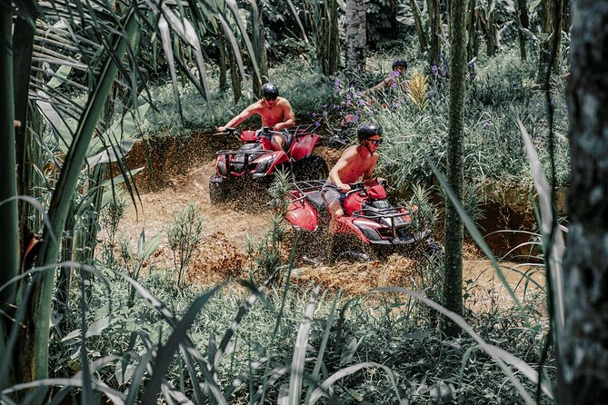 ATV Quad Bike Bali with Waterfall Gorilla Cave and Lunch - What the Mud and Hills Really Feel Like