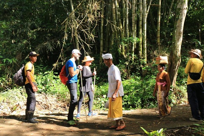 Authentic hike in the forest with lunch at the inhabitant - Leaving the forest for quiet rice terraces