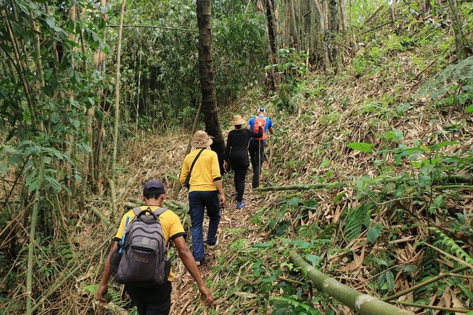 Authentic hike in the forest with lunch at the inhabitant - Is $75.97 a fair price?