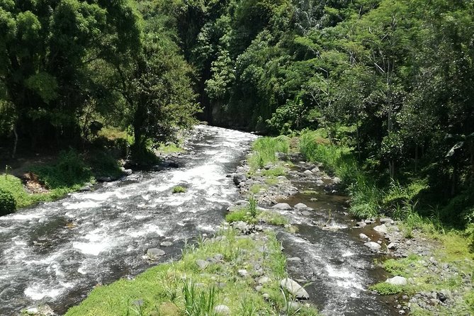 Ayung Rafting Ubud (Include Lunch & Return Transportation) - Timing, cancellation, and small details that matter