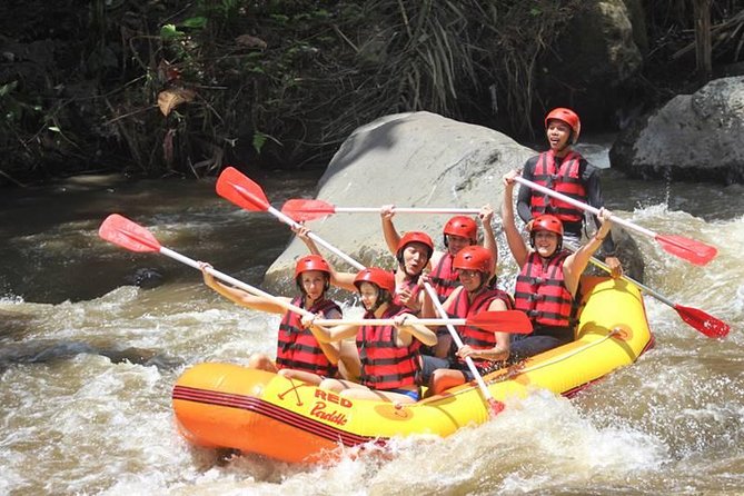 Ayung River Half-Day White Water Rafting Bali in Ubud - The valley access is part of the workout