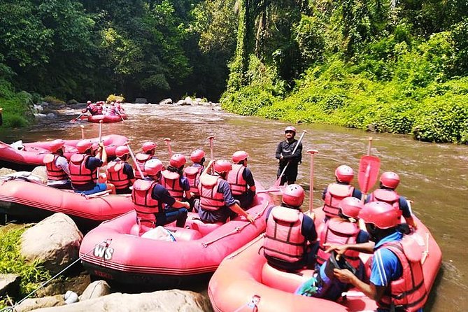 Ayung River Half-Day White Water Rafting Bali in Ubud - Shower, buffet lunch, and a comfortable finish