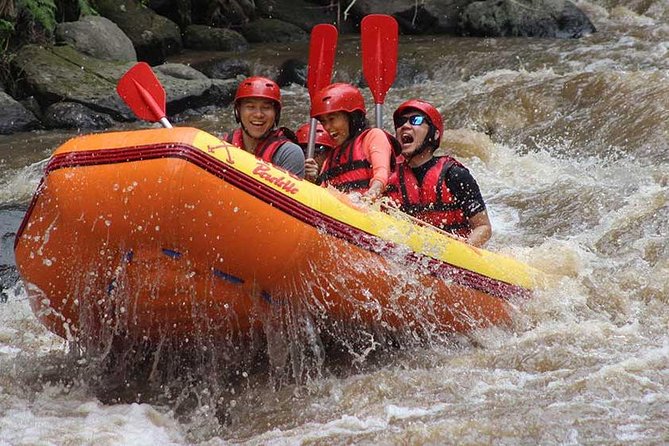Ayung River - White Water Rafting Bali - Why the Ayung River Makes a Good Bali Adventure