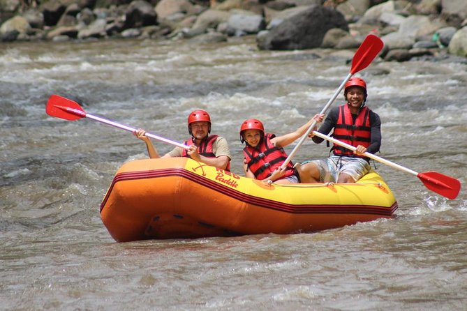 Ayung River - White Water Rafting Bali - The Walk Down Is Part of the Workout