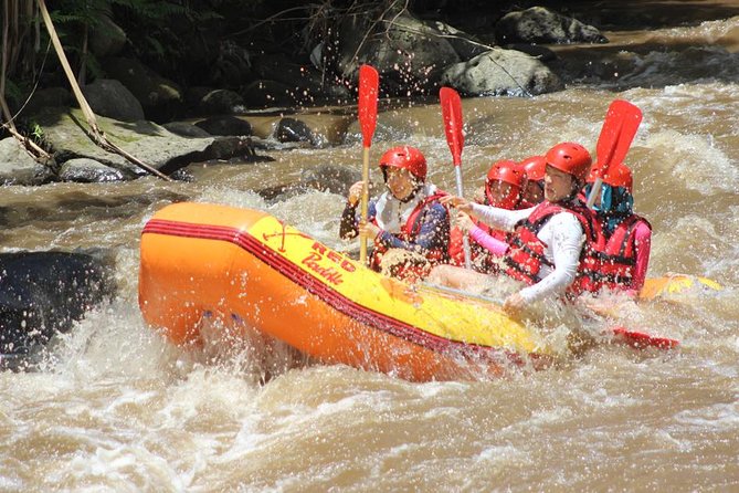 Ayung River - White Water Rafting Bali - Safety Gear and River Training