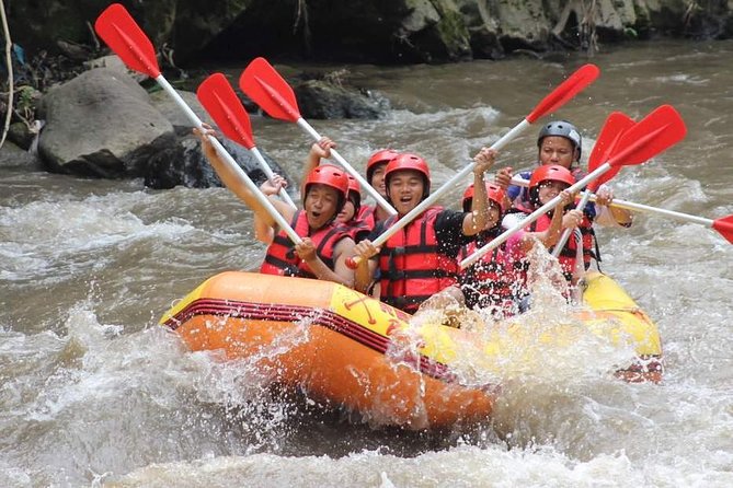 Ayung River - White Water Rafting Bali - Two Hours Through Rapids, Waterfalls, and Carved Cliffs