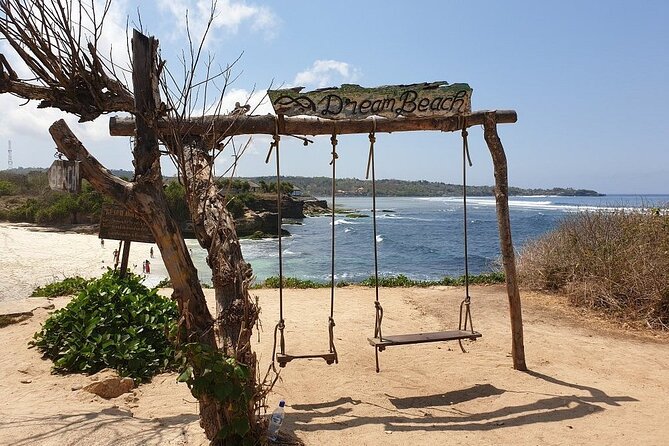 Bali 2 Days and 1 Nights of Nusa Penida and Lembongan Tour - Guides and the private service