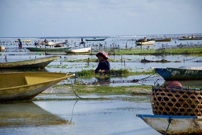 Bali 2 Days and 1 Nights of Nusa Penida and Lembongan Tour - What the $180 price really buys you