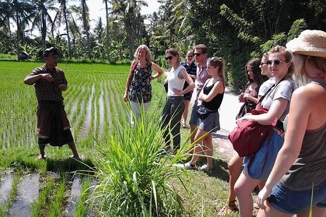 Bali Amazing Cooking Class - Meeting Nyoman, Dewi, and the teaching style