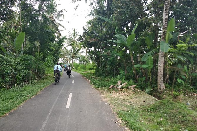 Bali Amazing Cycling Tour - Starting in Ubud and climbing toward Kintamani