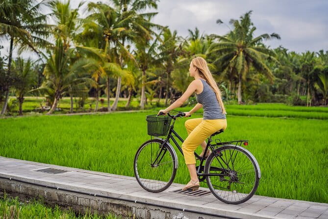 Bali ATV Bike Cave and waterfall with hotel Pick Up And Lunch - Lunch, Showers, and the Practical Details