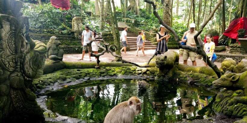 Bali: ATV Gorilla Cave, Ubud Monkey Forest, & Waterfall Tour - Walking through the Sacred Monkey Forest