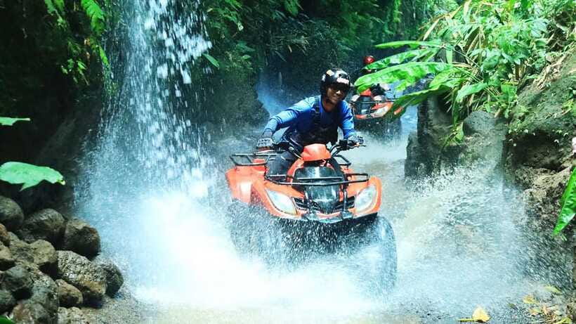 Bali: ATV Quad Bike, Monkey Forest, Jungle Swing with Lunch - Walking the Tegallalang rice terraces