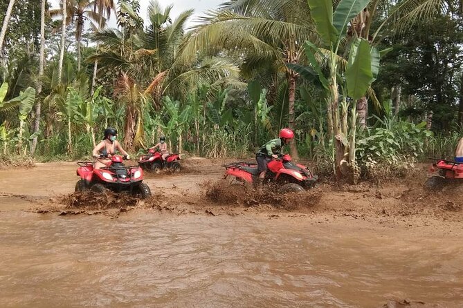 Bali ATV Quadbike Through Gorilla Face Cave - Through rice fields, jungle, and river crossings