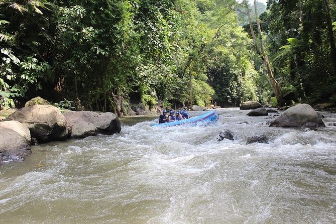 Bali ATV Ride Adventure & White Water Rafting with All-Inclusive - Who should book this Ubud adventure?