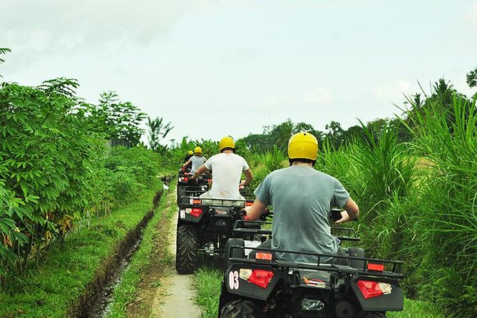 Bali ATV Ride - Quad Biking Adventure - Is the $30 price good value?