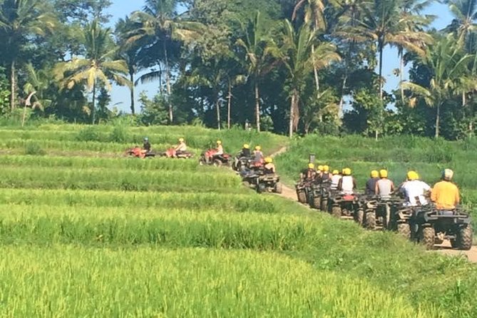 Bali ATV Ride Ubud Jungle Track - Leaving Bali’s resort roads behind