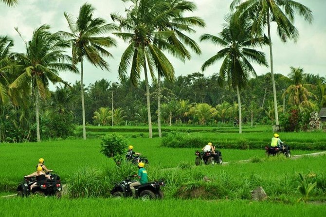 Bali ATV Ride Ubud Jungle Track - What the ATV route is really like