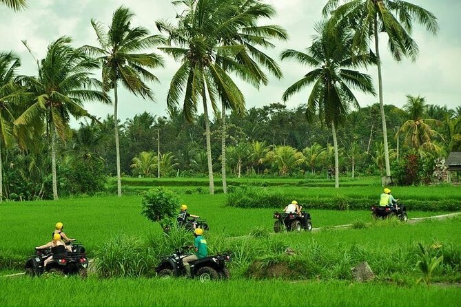 Bali ATV Ride waterfall jungle and rice fild track ubud - A countryside route with more than a dirt road