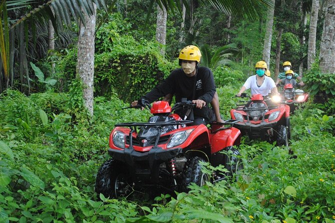 Bali ATV Ride waterfall jungle and rice fild track ubud - Private attention, with one group-size question