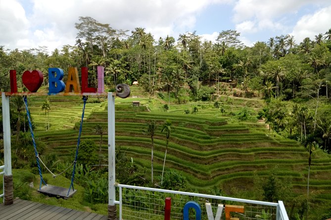 Bali ATV Ride with Jungle Swing and Rice Terrace Tour - Who will enjoy this Ubud day?