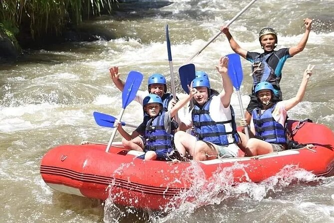 Bali Ayung River Rafting and Bali Swing Packages - Key points at a glance