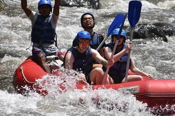 Bali Ayung River Rafting and Bali Swing Packages - Six swing experiences near Bongkasa